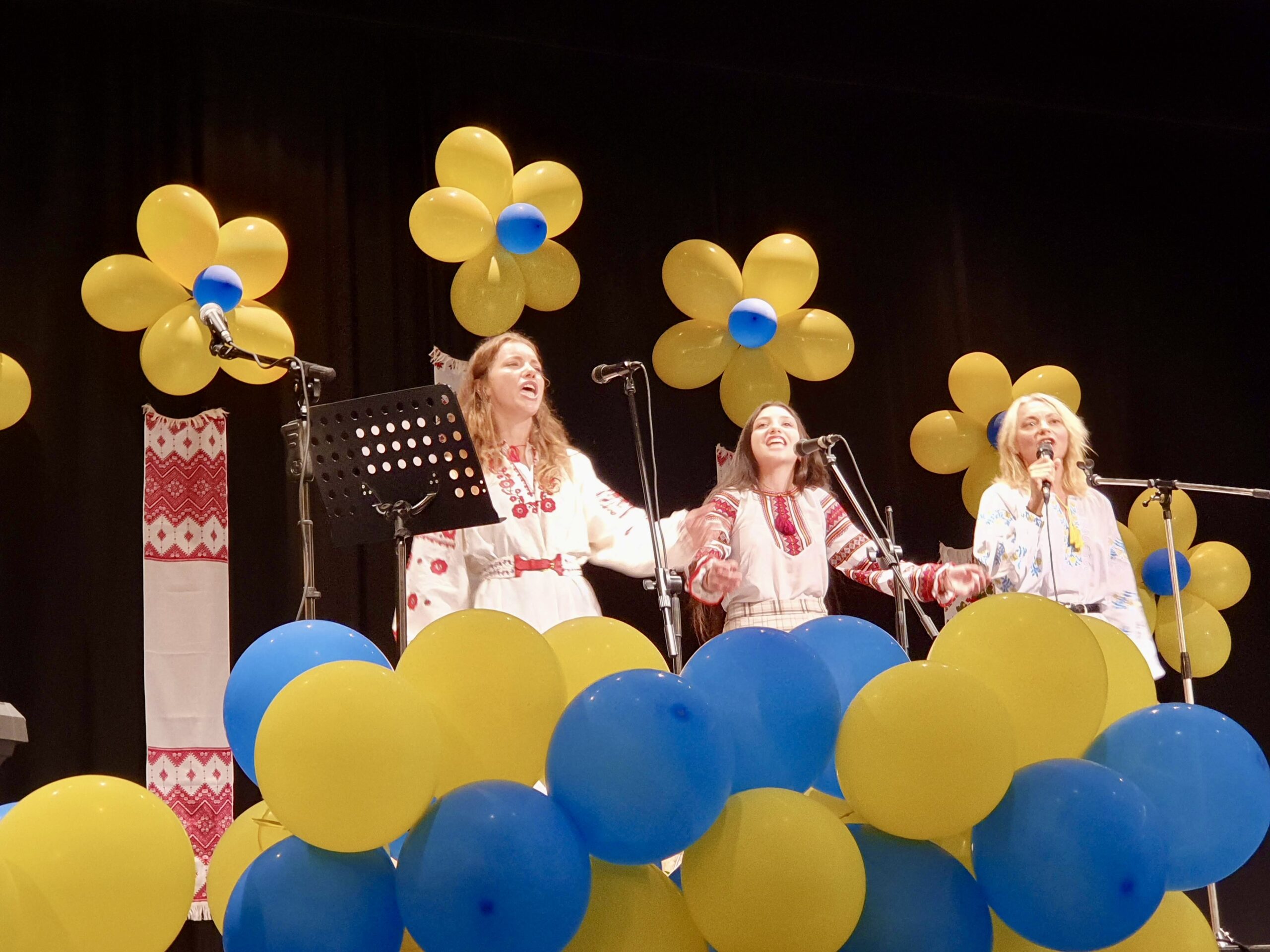 Ukraine Centre – Social Activities 5