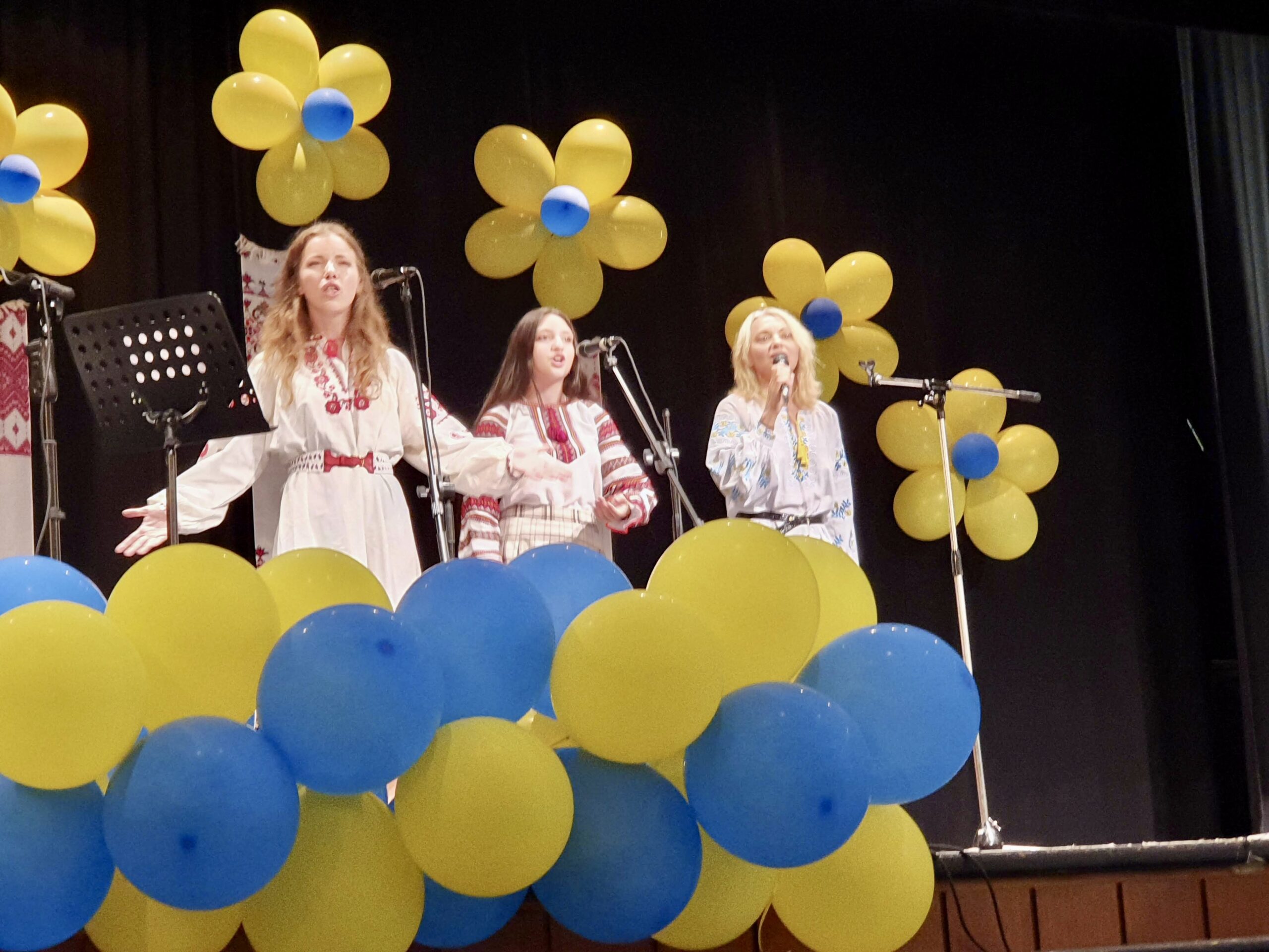 Ukraine Centre – Social Activities 6